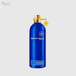 MONTALE PARIS AOUD PINE EDP 100ML