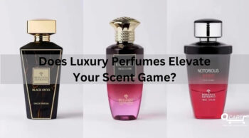 Scented Expressions: QCart’s Unique Perfume Gift Ideas for Every Personality