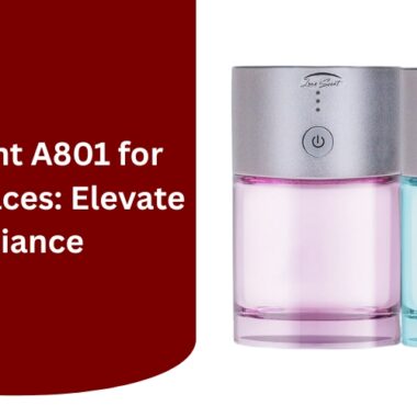 Q-CART PERFUME1000: The Must-Have Luxury Scent of 2025