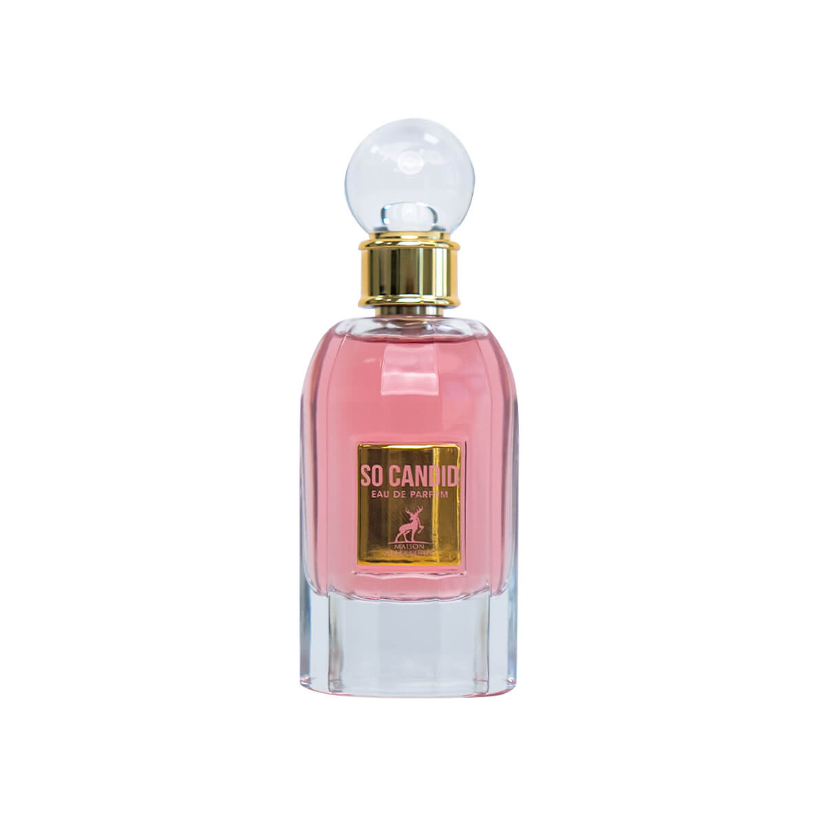 So Candid Edp 
